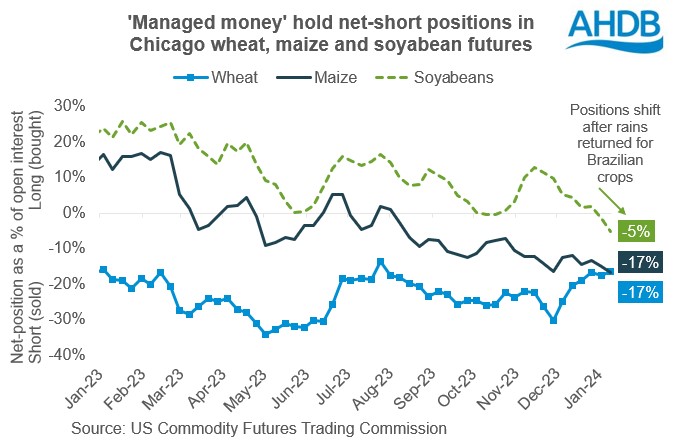 Chart showing 'managed money' hold net-short positions in Chicago, wheat, maize and soyabean futures